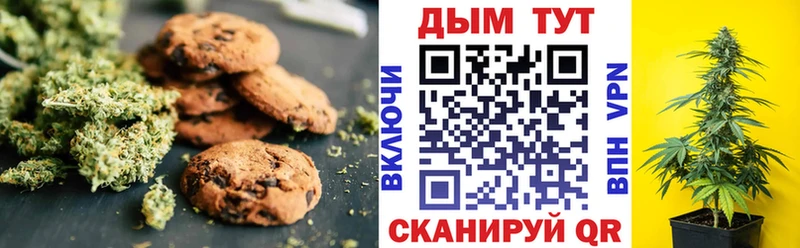 omg вход  магазин продажи наркотиков  Северская  Canna-Cookies конопля 