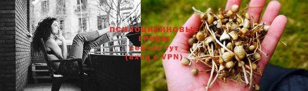 мет Богородицк
