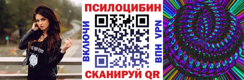 Псилоцибиновые грибы Cubensis  Северская 